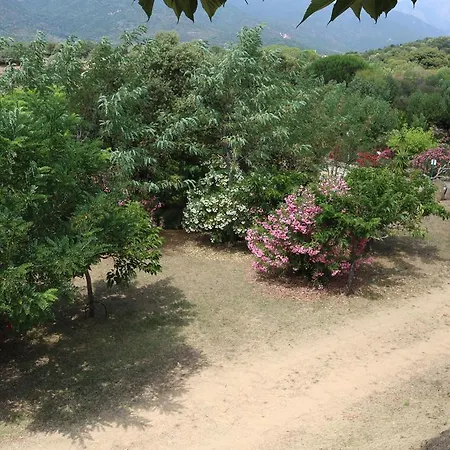 Camping Les Couchants 3* Casaglione